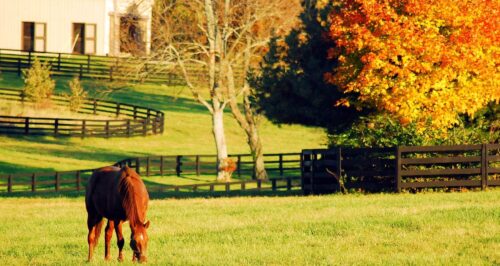 kentucky farmland