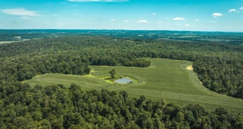 Average Cost Per Acre in Kentucky