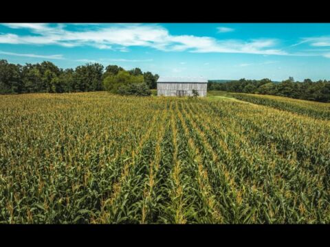 What is Sustainable Farming?